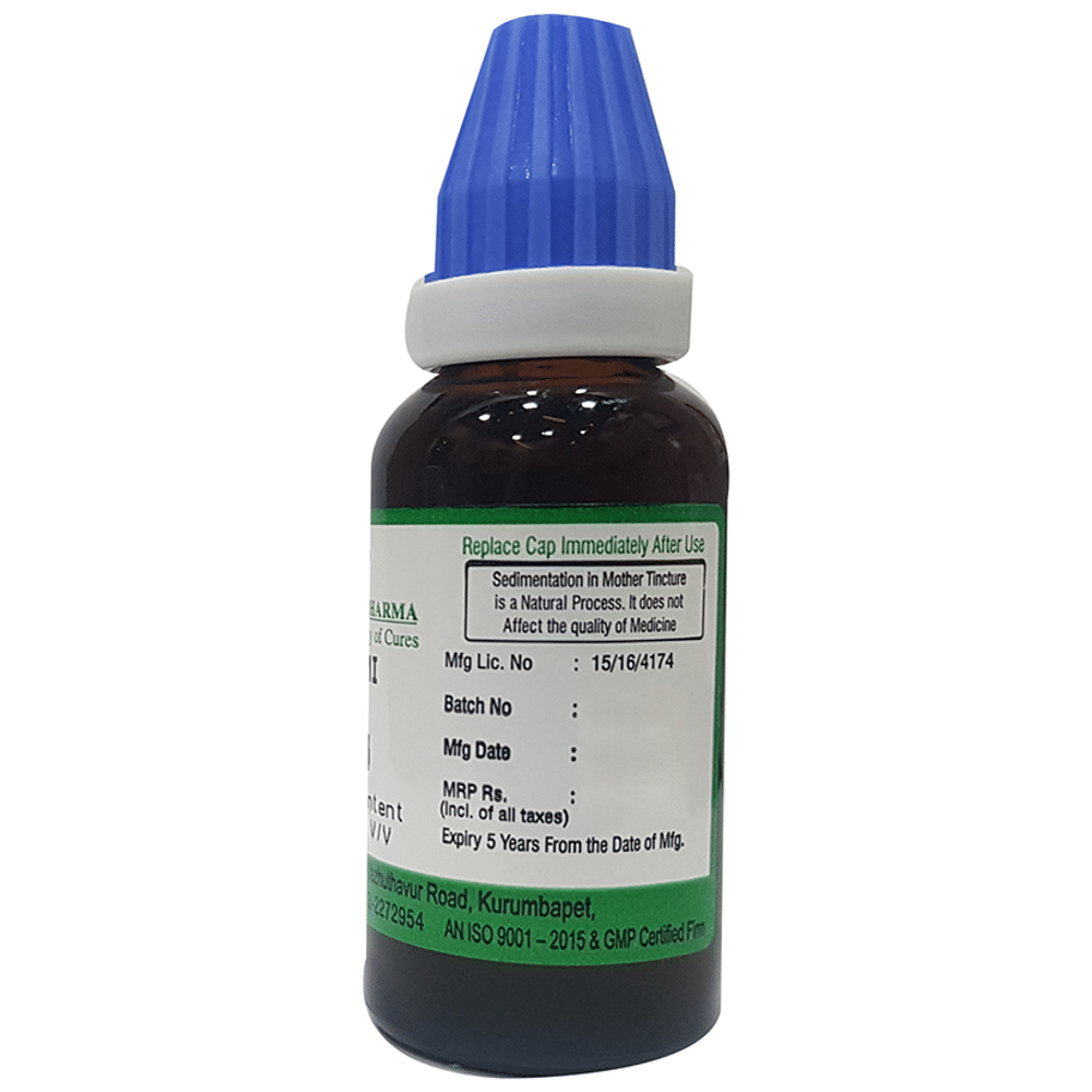 Hering Pharma Brahmi Mother Tincture Q