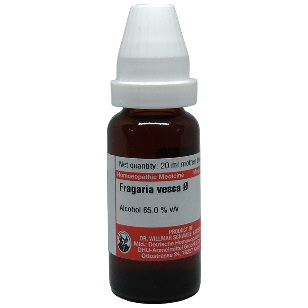 Dr Willmar Schwabe Germany Fragaria Vesea Mother Tincture Q