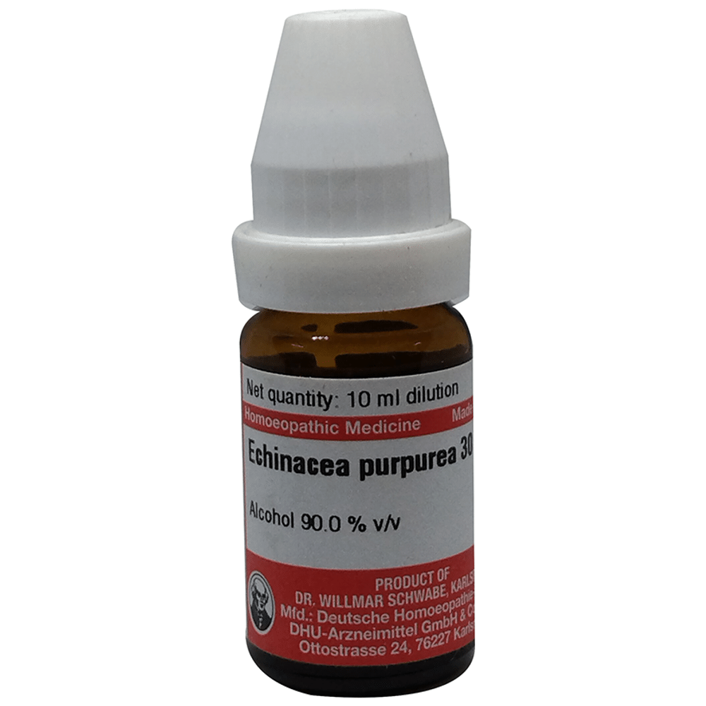 Dr Willmar Schwabe Germany Echinacea Purpurea Dilution 30