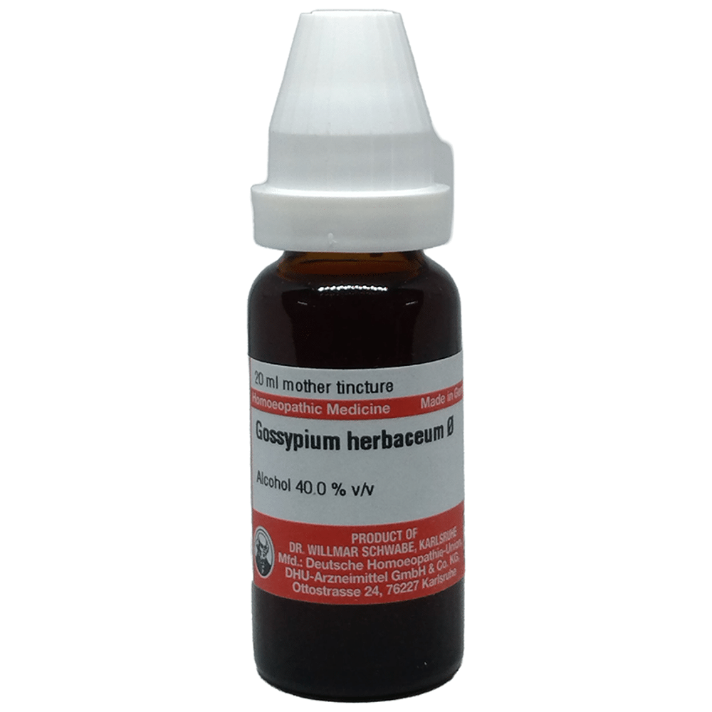 Dr Willmar Schwabe Germany Gossypium Herbaceum Mother Tincture Q