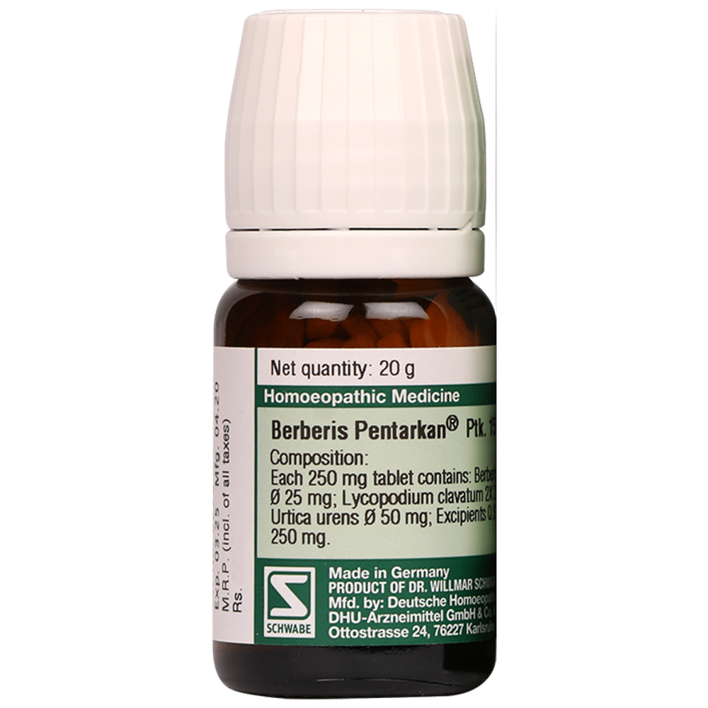 Dr Willmar Schwabe Germany Berberis Pentarkan Ptk. 15 Tablet