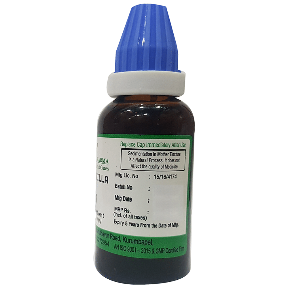 Hering Pharma Pulsatilla Nig Mother Tincture Q