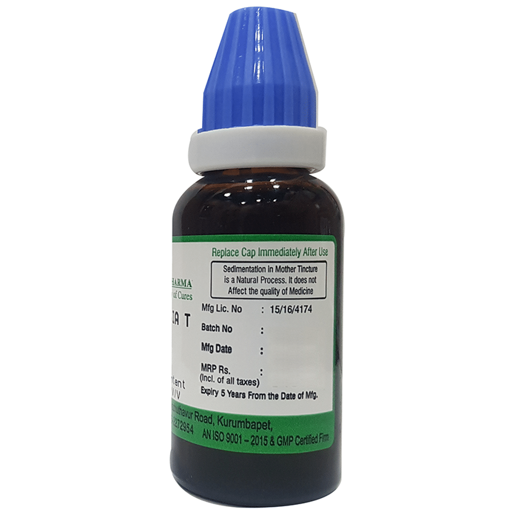 Hering Pharma Baptisia T Mother Tincture Q