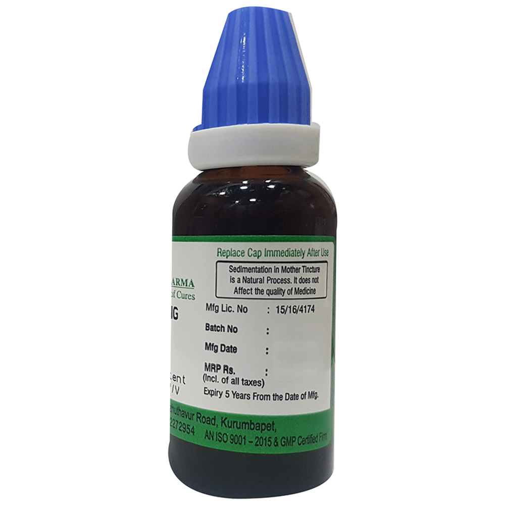 Hering Pharma Ginseng Mother Tincture Q