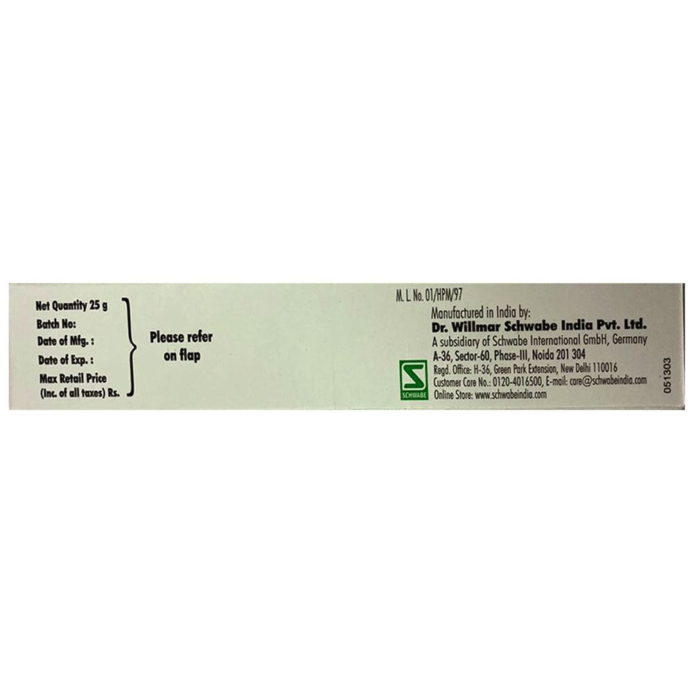 Dr Willmar Schwabe India Topi Berberis Aquifolium Cream