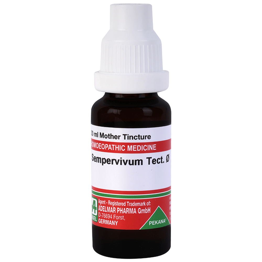 ADEL Sempervivum Tect Mother Tincture Q