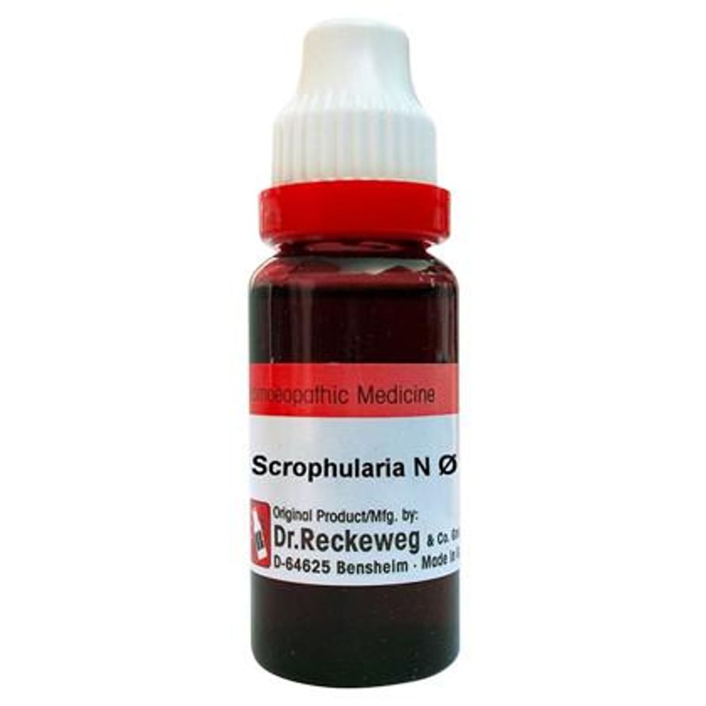 Dr. Reckeweg Scrophularia N Mother Tincture Q