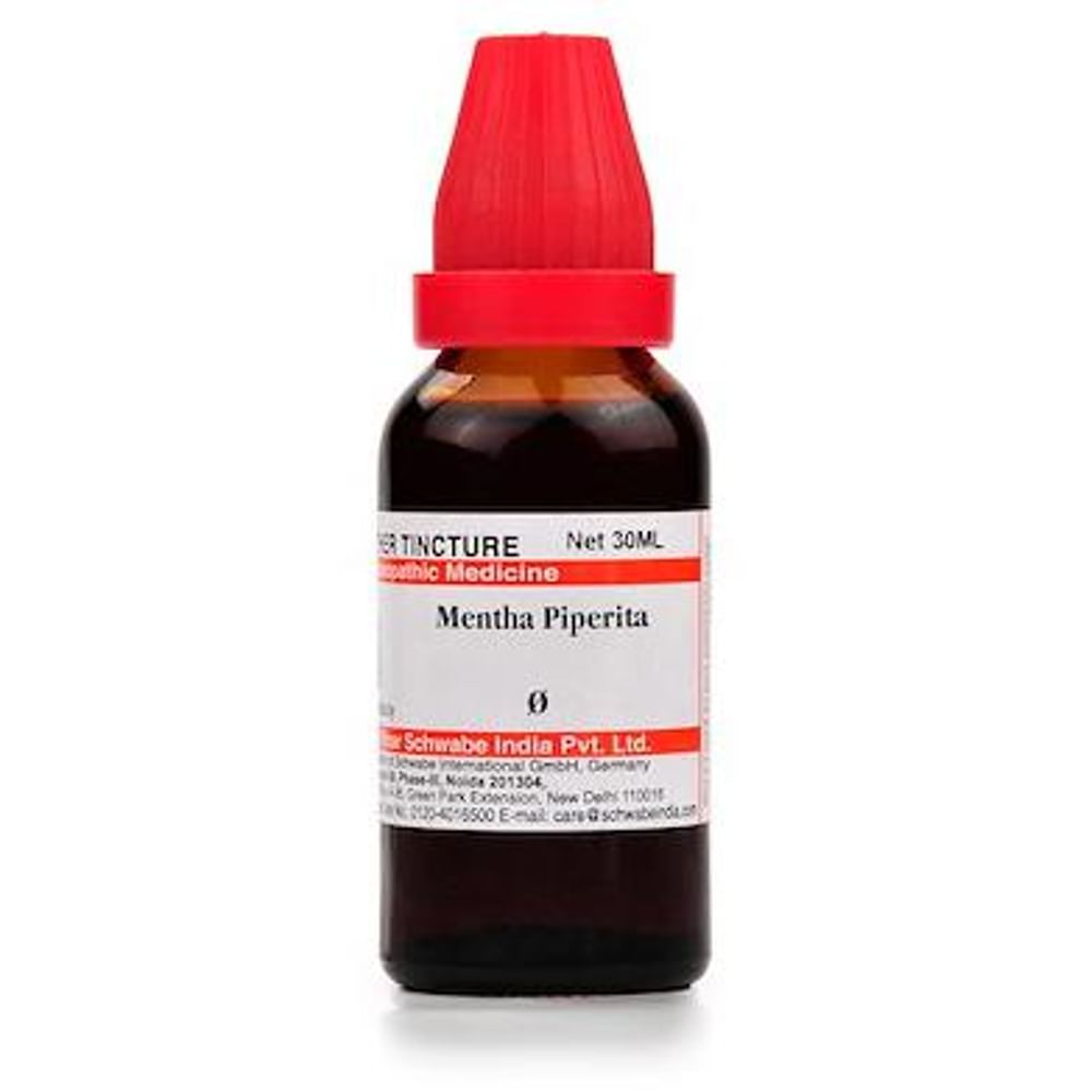 Dr Willmar Schwabe India Mentha Piperita Mother Tincture Q