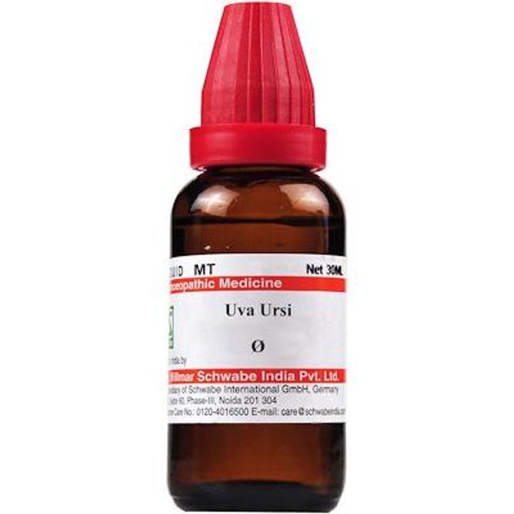 Dr Willmar Schwabe India Uva Ursi Mother Tincture Q