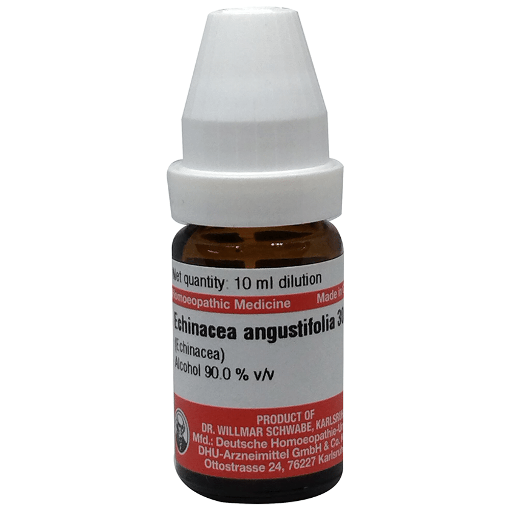 Dr Willmar Schwabe Germany Echinacea Angustifolia Dilution 30