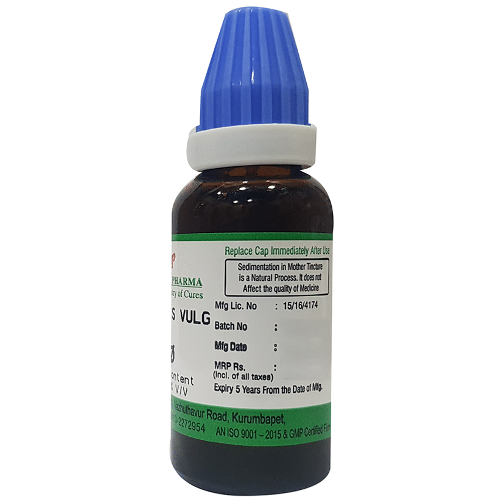 Hering Pharma Berberis Vulg Mother Tincture Q