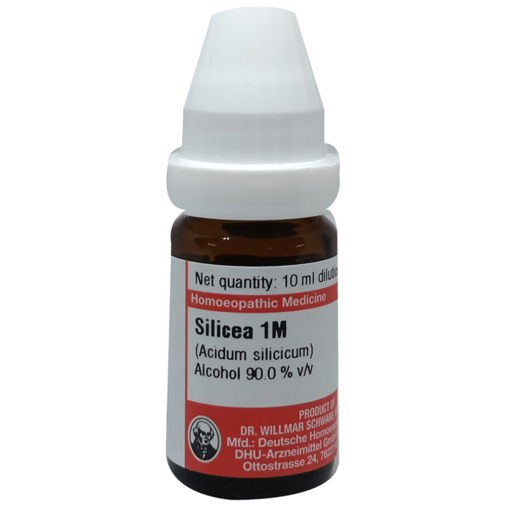 Dr Willmar Schwabe Germany Silicea Dilution 1M