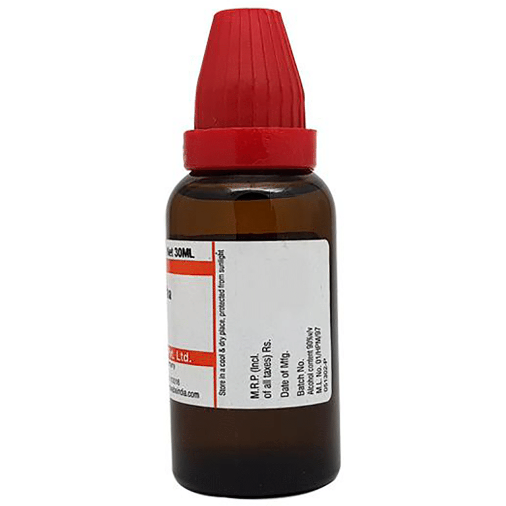 Dr Willmar Schwabe India Nux Vomica Dilution 200 CH