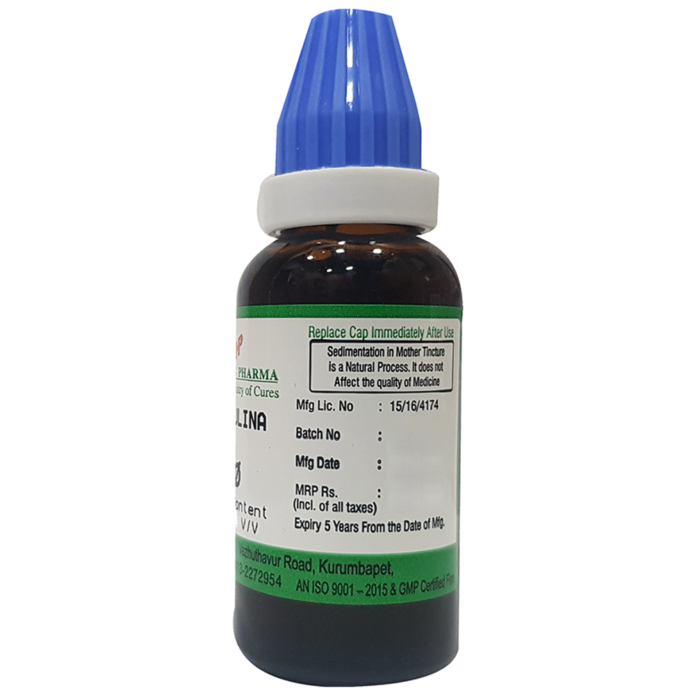 Hering Pharma Spirulina Mother Tincture Q