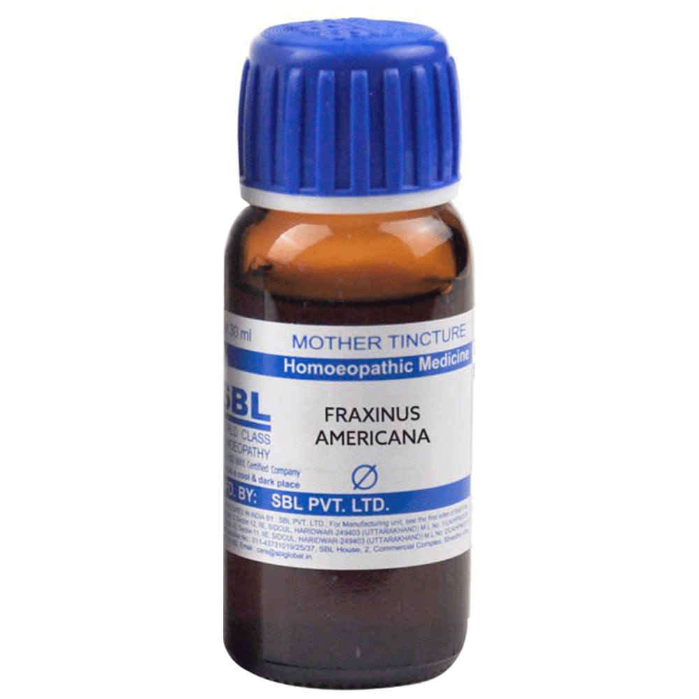 SBL Fraxinus Americana Mother Tincture Q