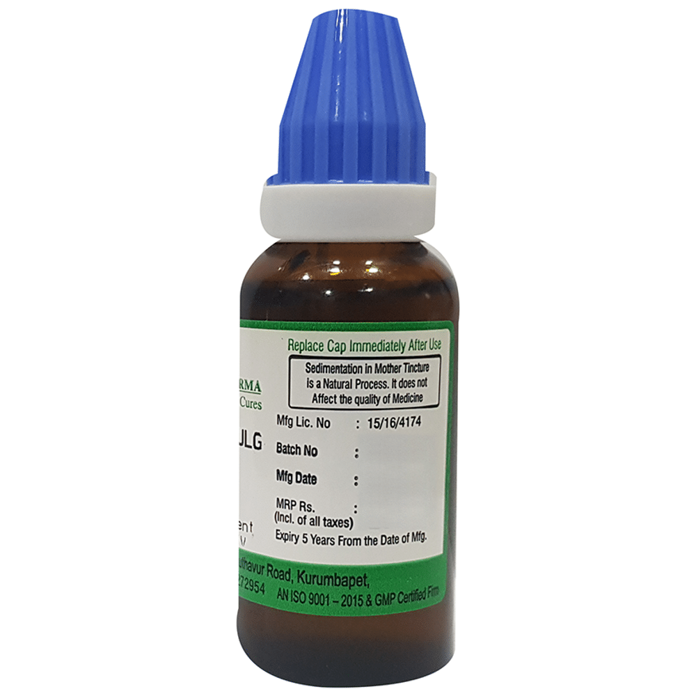 Hering Pharma Cydonia Vulg Mother Tincture Q