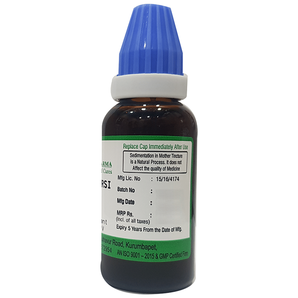 Hering Pharma Allium Ursi Mother Tincture Q