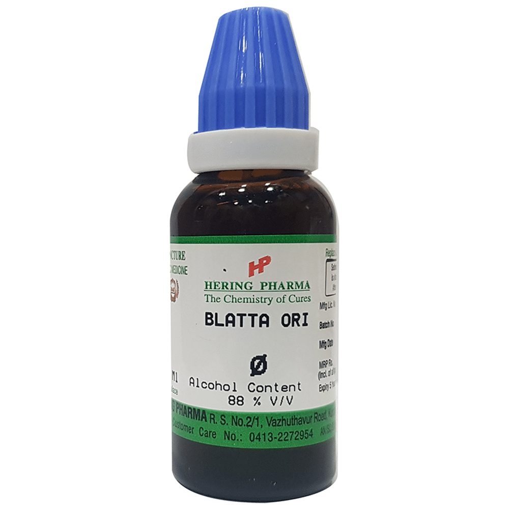 Hering Pharma Blatta Ori Mother Tincture Q