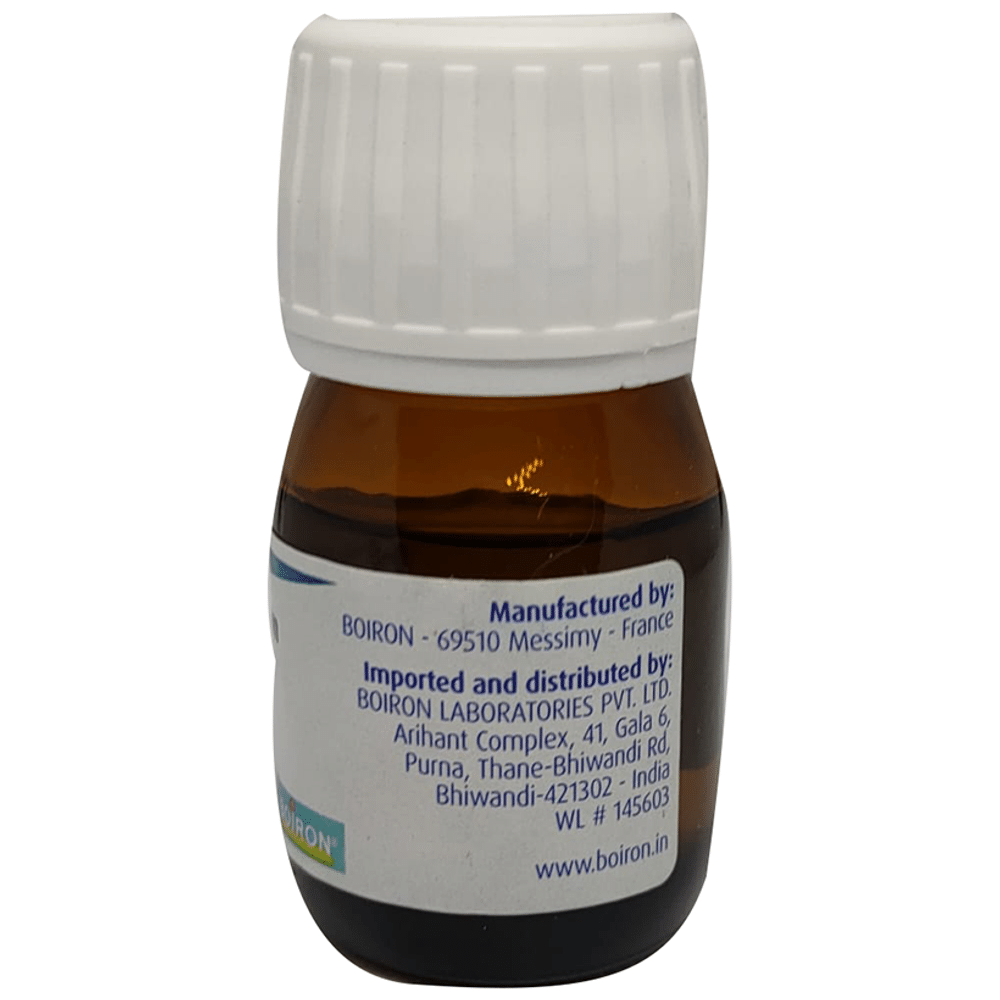 Boiron Rhus Toxicodendron Dilution 200C