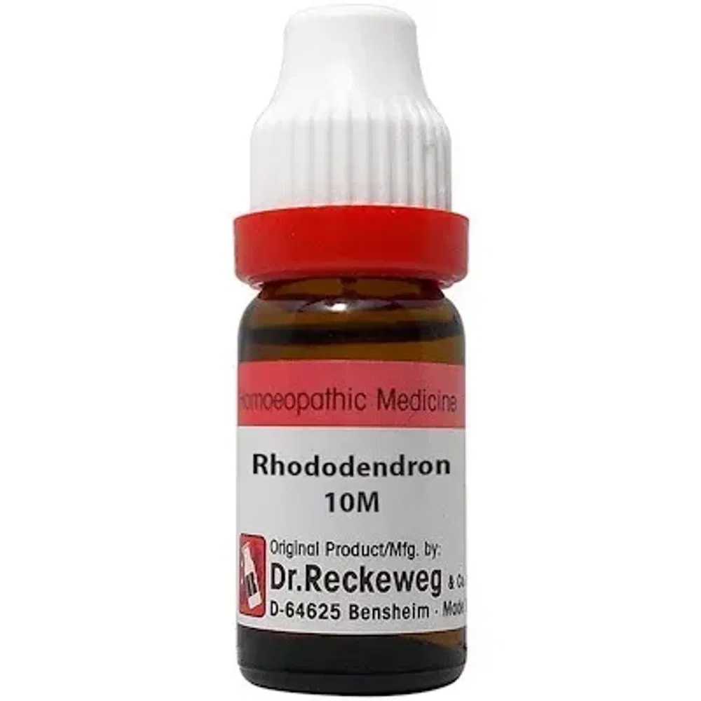 Dr. Reckeweg Rhododendron Dilution 10M CH