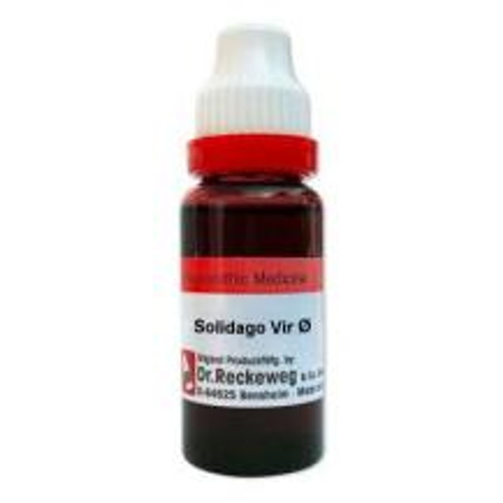 Dr. Reckeweg Solidago Vir Mother Tincture Q