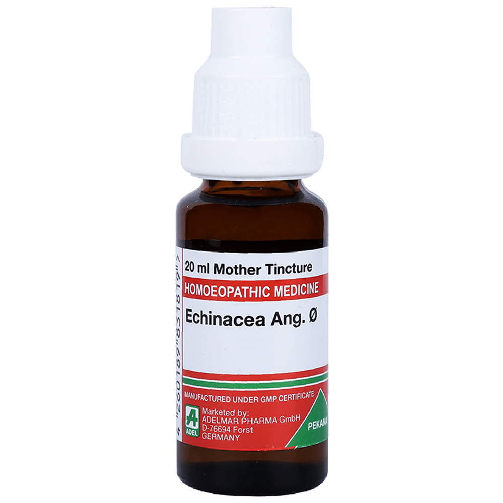 ADEL Echinacea Ang. Mother Tincture Q